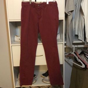 Dark red Hollister pants